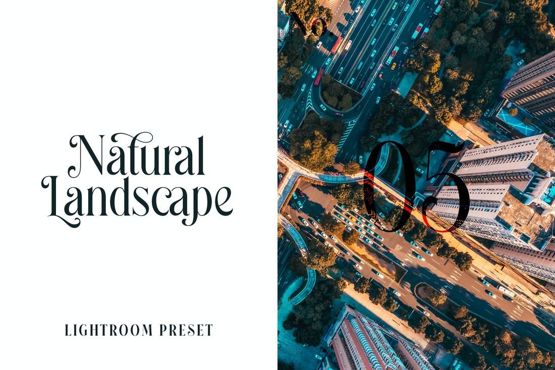 Lightroom Preset Natural Landscape No.05