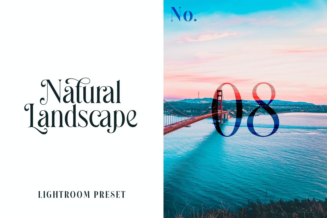Lightroom Preset Natural Landscape No.08