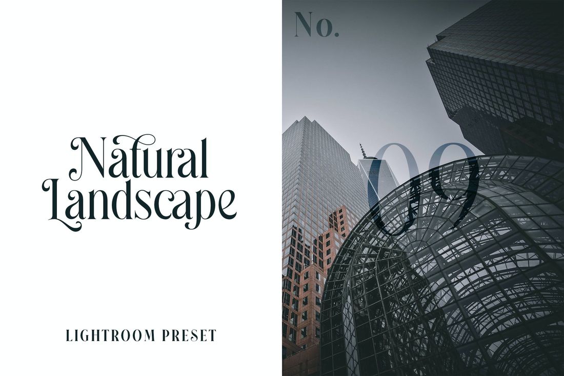 Lightroom Preset Natural Landscape No.09