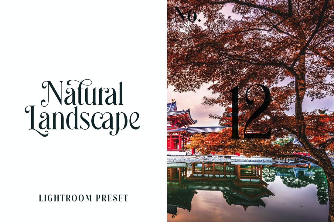 Lightroom Preset Natural Landscape No.12