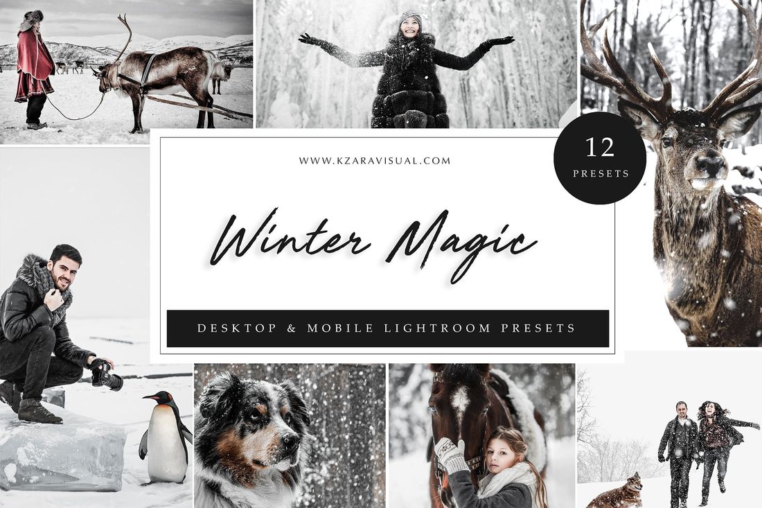 Lightroom Presets Winter Magic