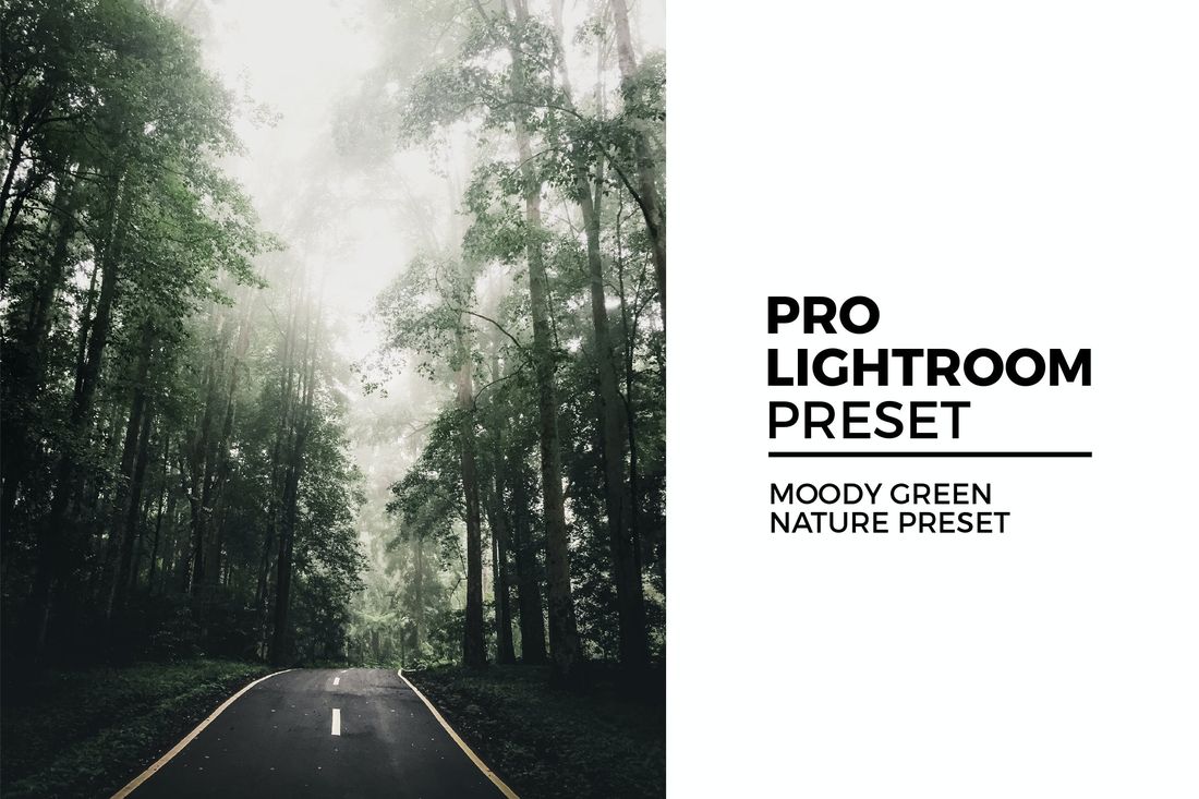 Moody Green Nature Preset
