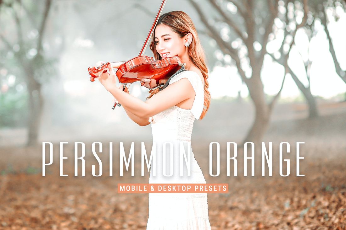 Persimmon Orange Pro Lightroom Presets