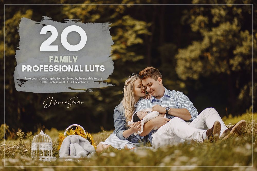 20 Family LUTs Pack