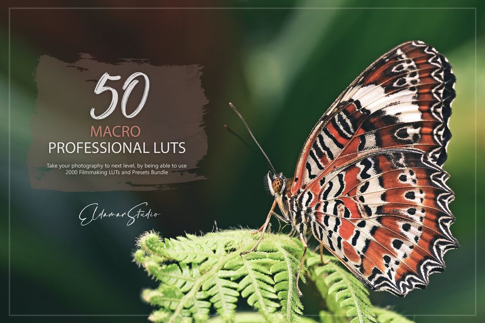 50 Macro LUTs and Presets Pack