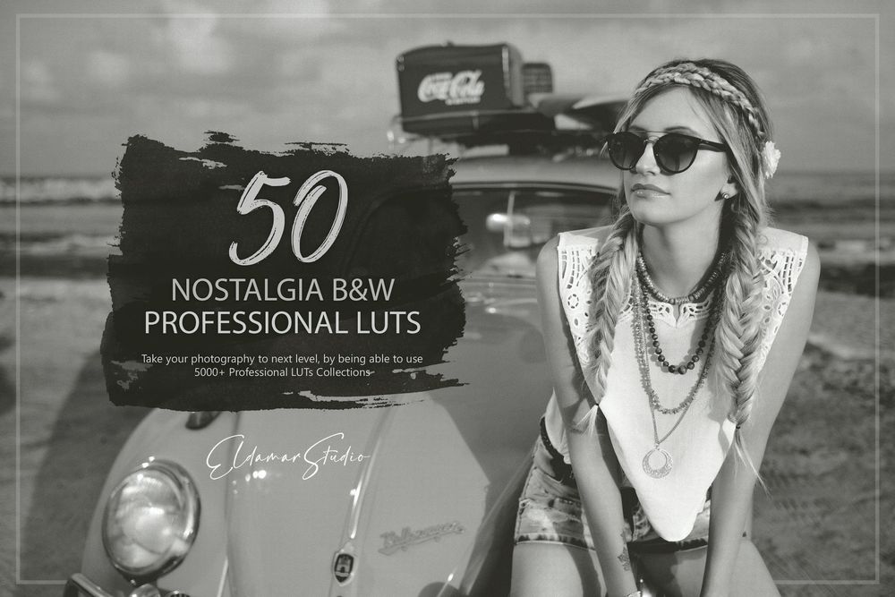 50 Nostalgia Black and White LUTs Pack