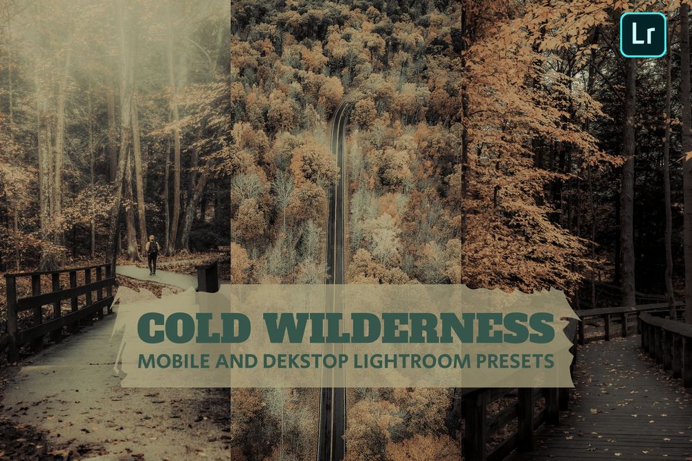 寒冷荒野-枯竭的林木主题拍照预设