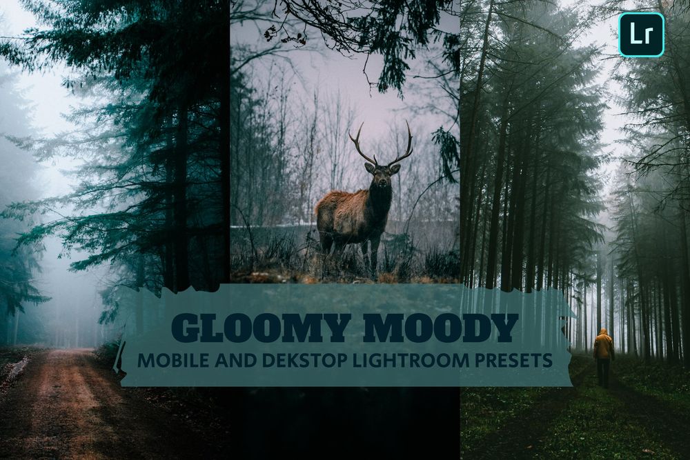 阴郁的氛围画面效果预设