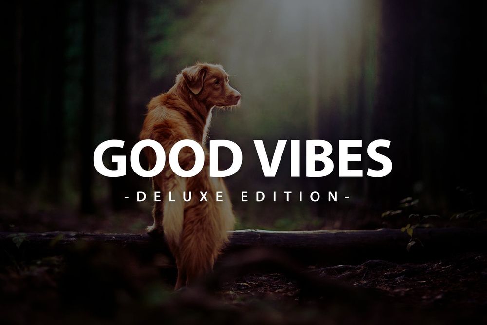 萌宠出击美拍主题画面预设