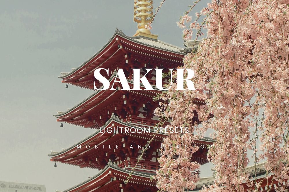 萨库尔建筑物美拍预设