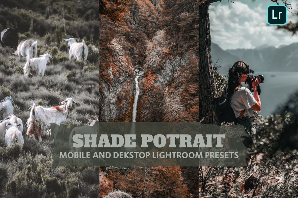 户外阴凉处场景环境主题拍照预设