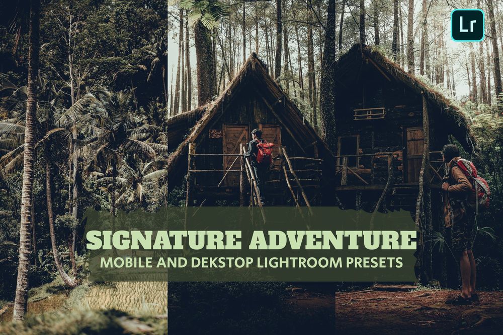 林中风景园画面效果预设