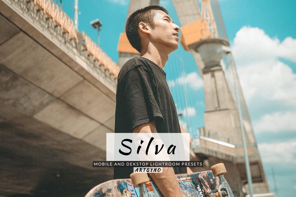 席尔瓦户外环境场景拍照预设