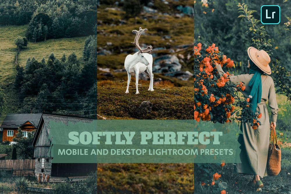 轻柔完美的户外场景美图必备预设