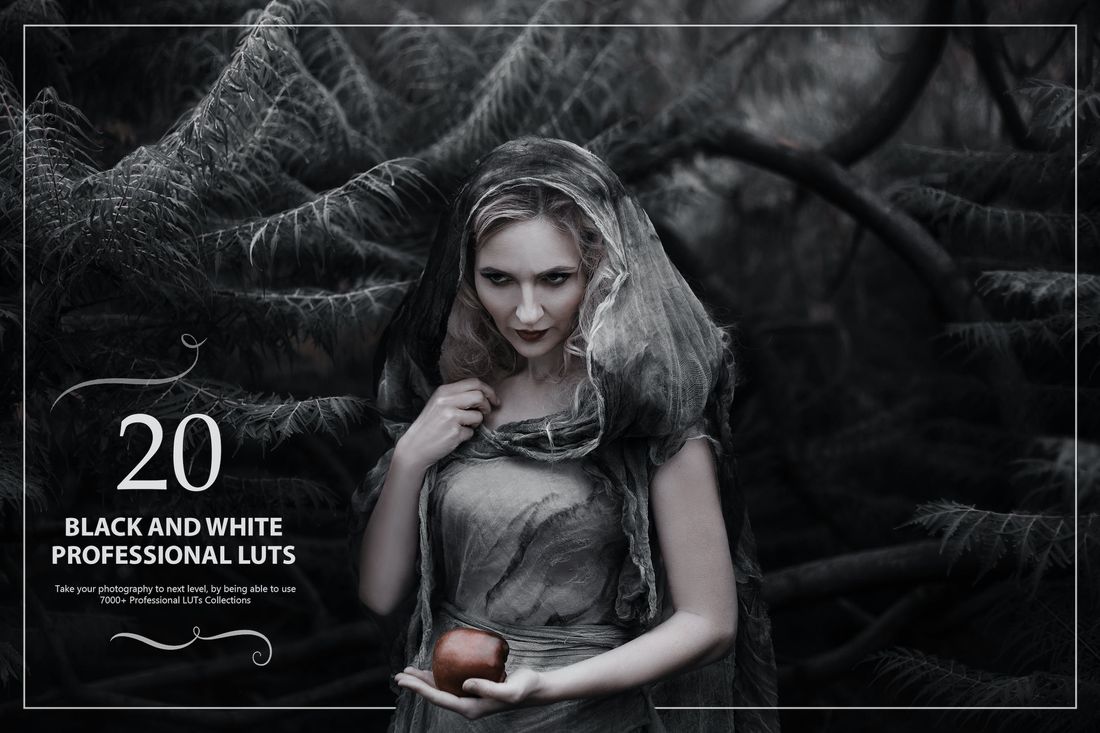 20款 Black&White LUTs (Look Up Tables)