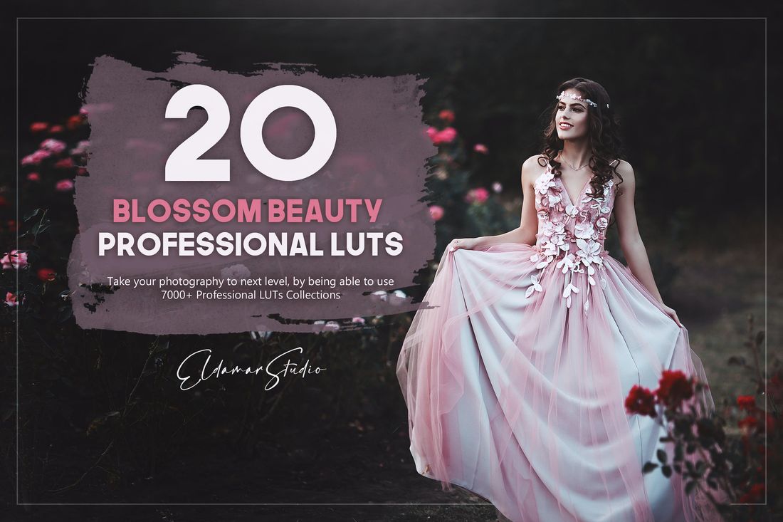 20款 Blossom Beauty LUTs Pack