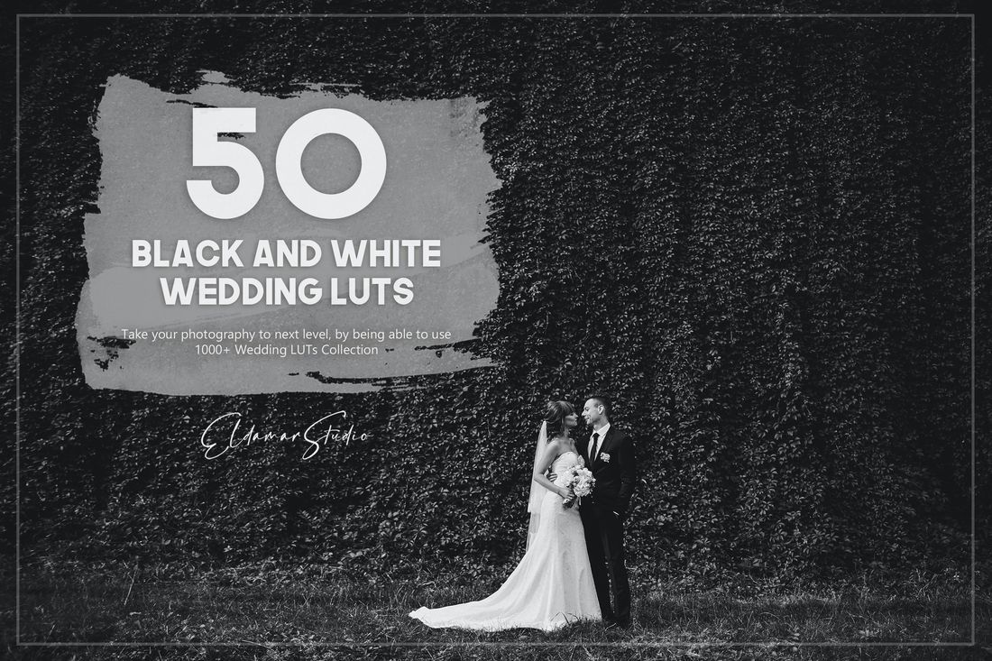 50款 Black and White Wedding LUTs Pack