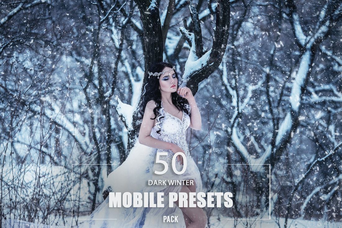 50款 Dark Winter Mobile Presets Pack
