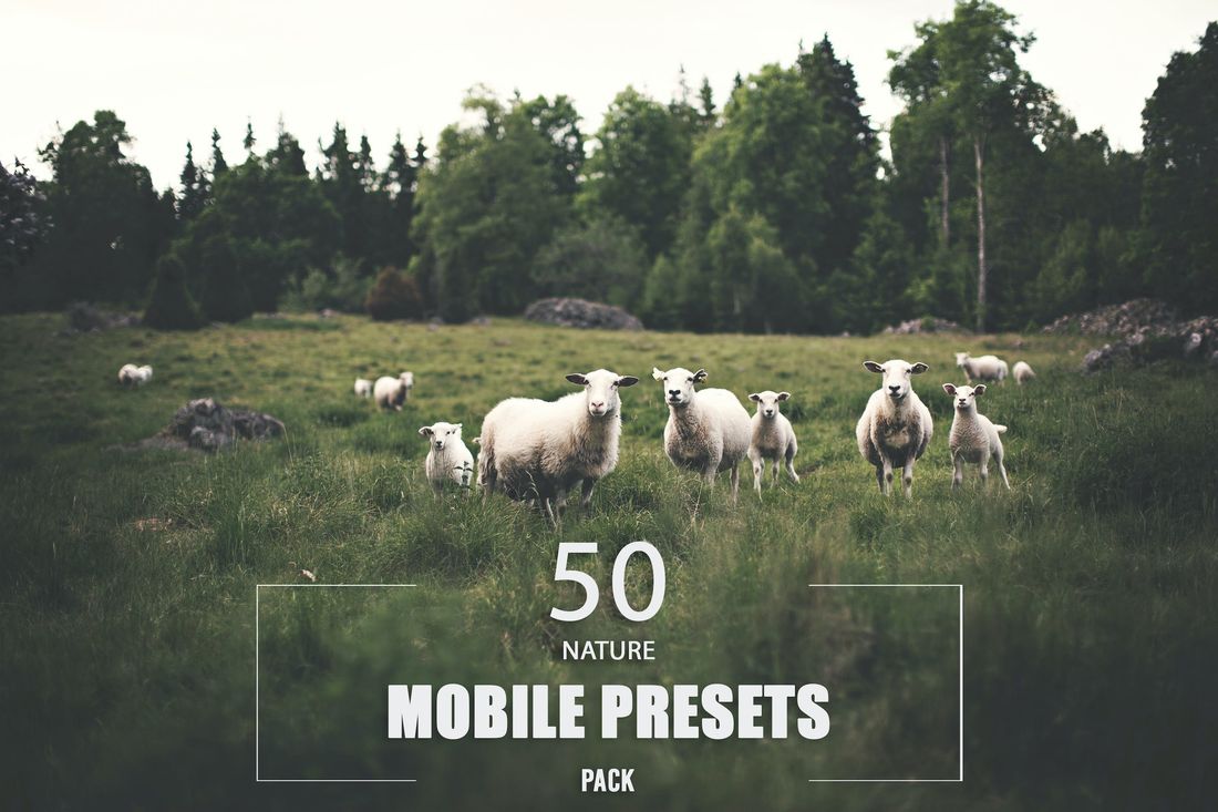 50款 Nature Mobile Presets Pack