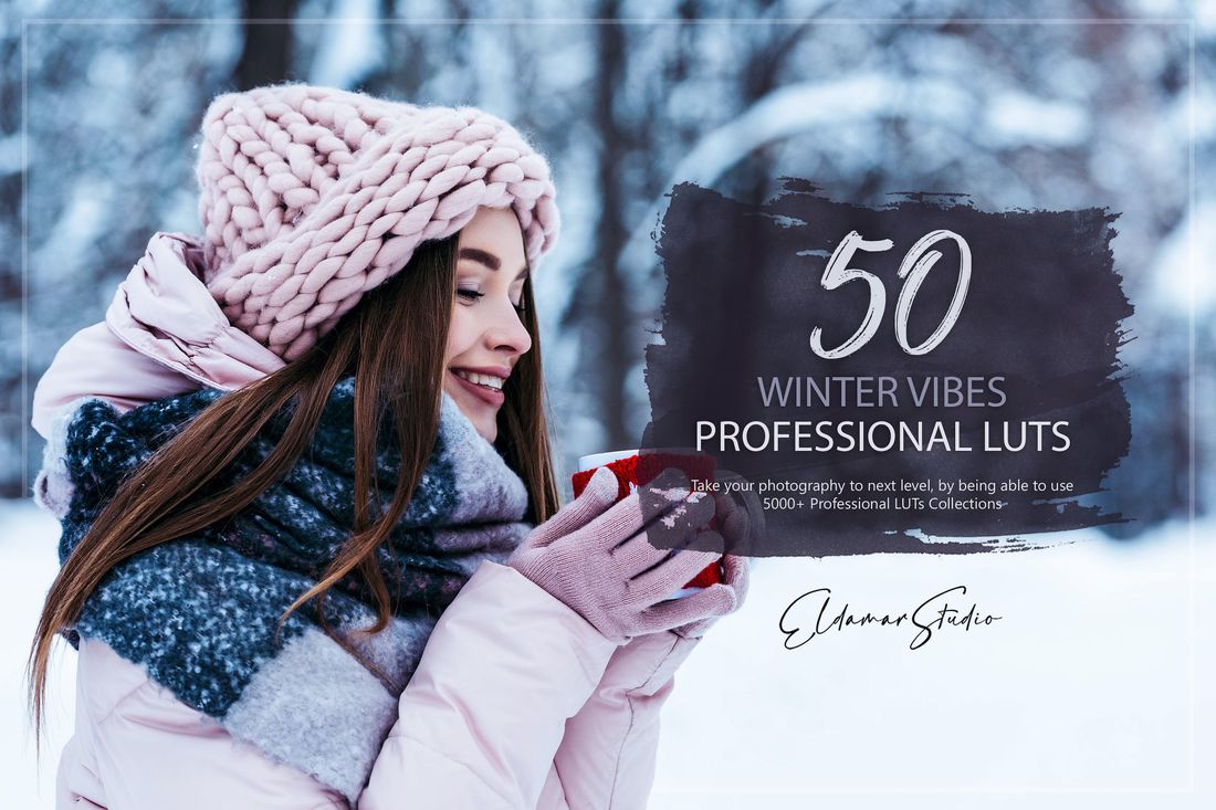 50款 Winter Vibes LUTs and Presets Pack