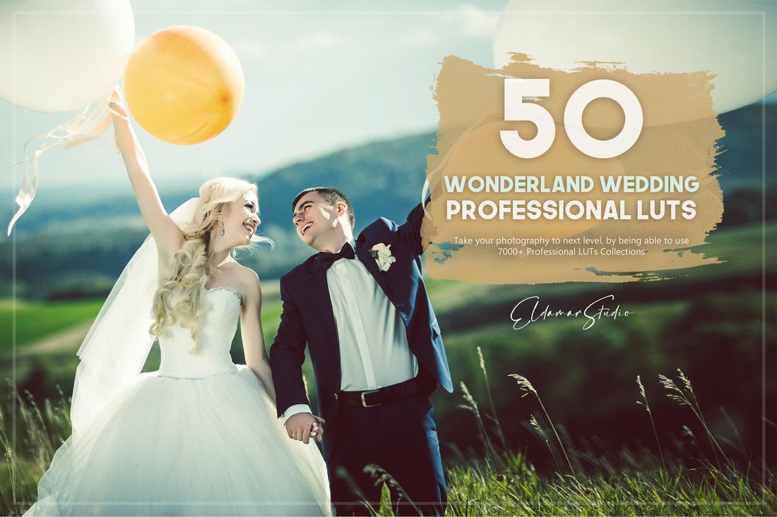 50款 Wonderland Wedding LUTs Pack