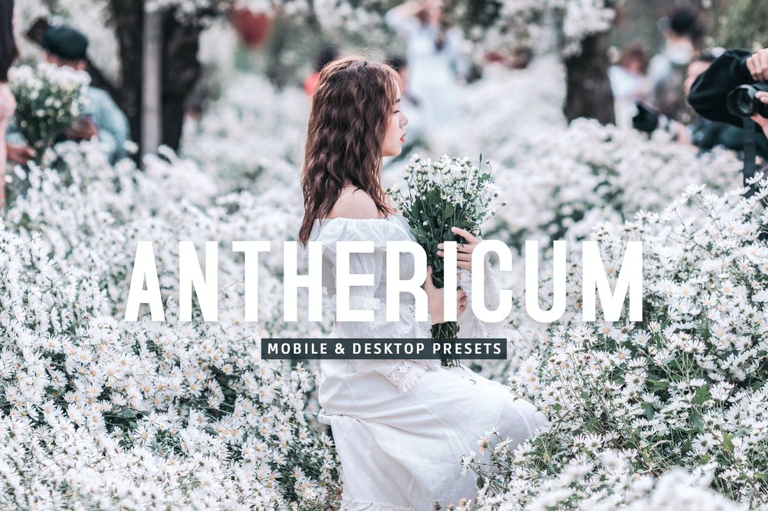 Anthericum Mobile & Desktop Lightroom Presets