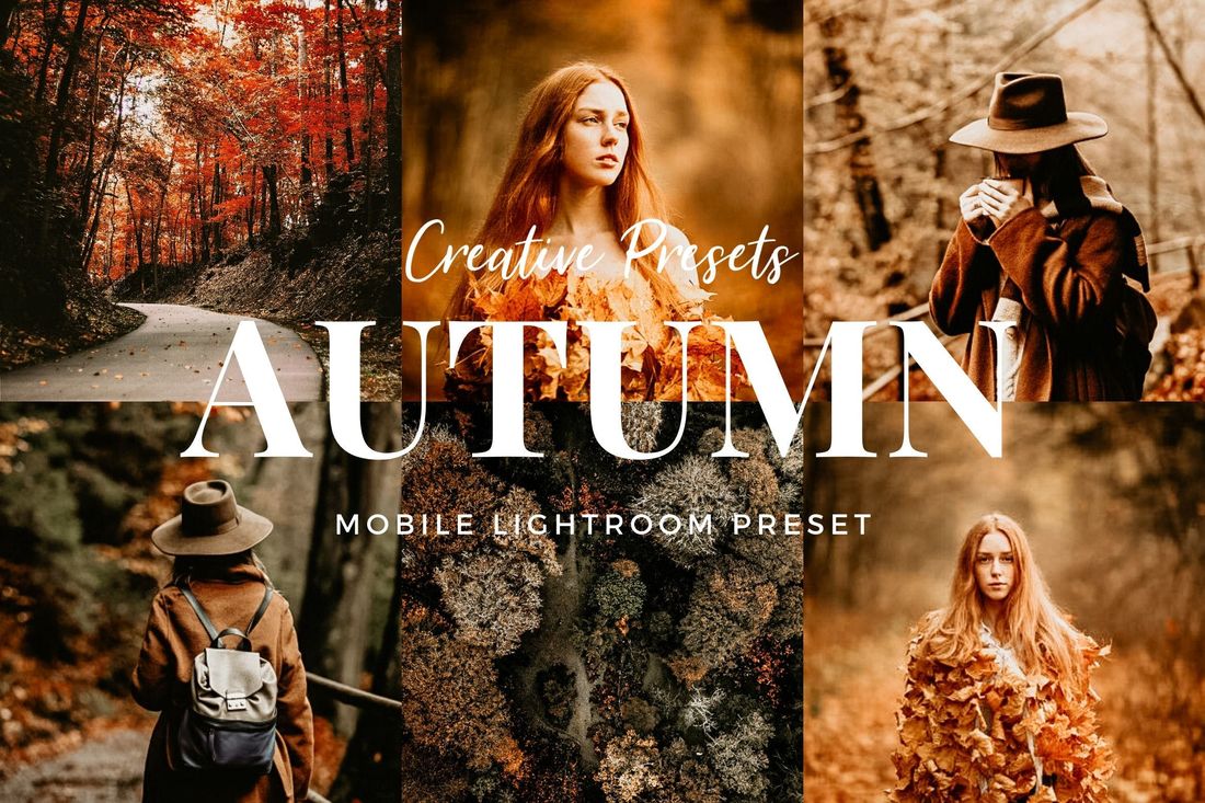 Autumn Lightroom Mobile Presets