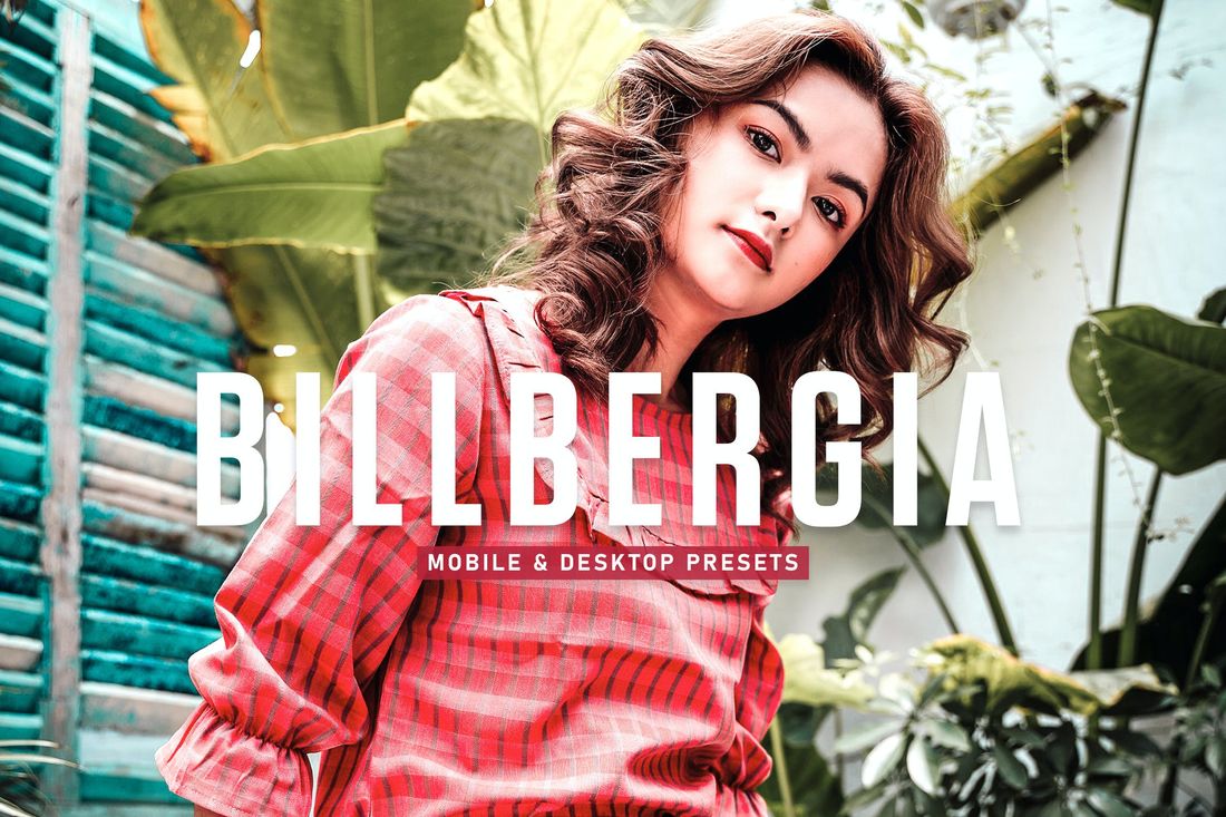 Billbergia Mobile & Desktop Lightroom Presets