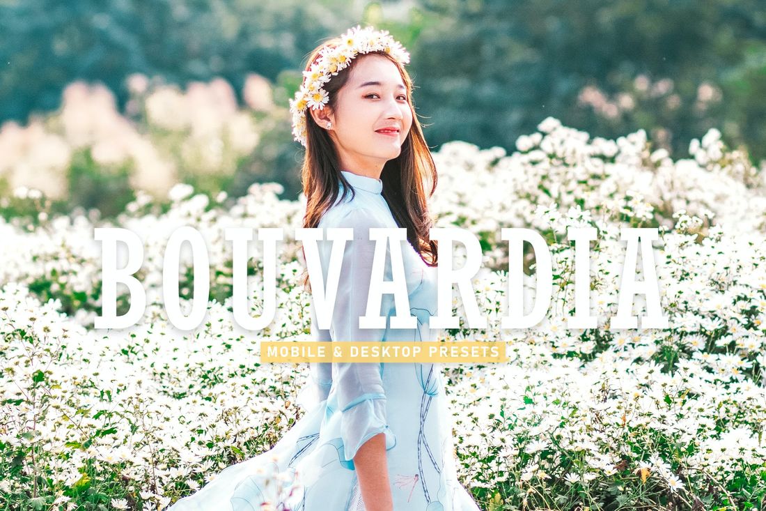 Bouvardia Mobile & Desktop Lightroom Presets