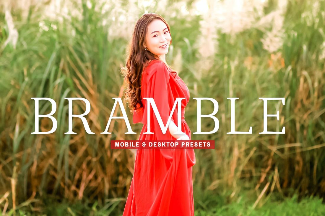 Bramble Mobile & Desktop Lightroom Presets