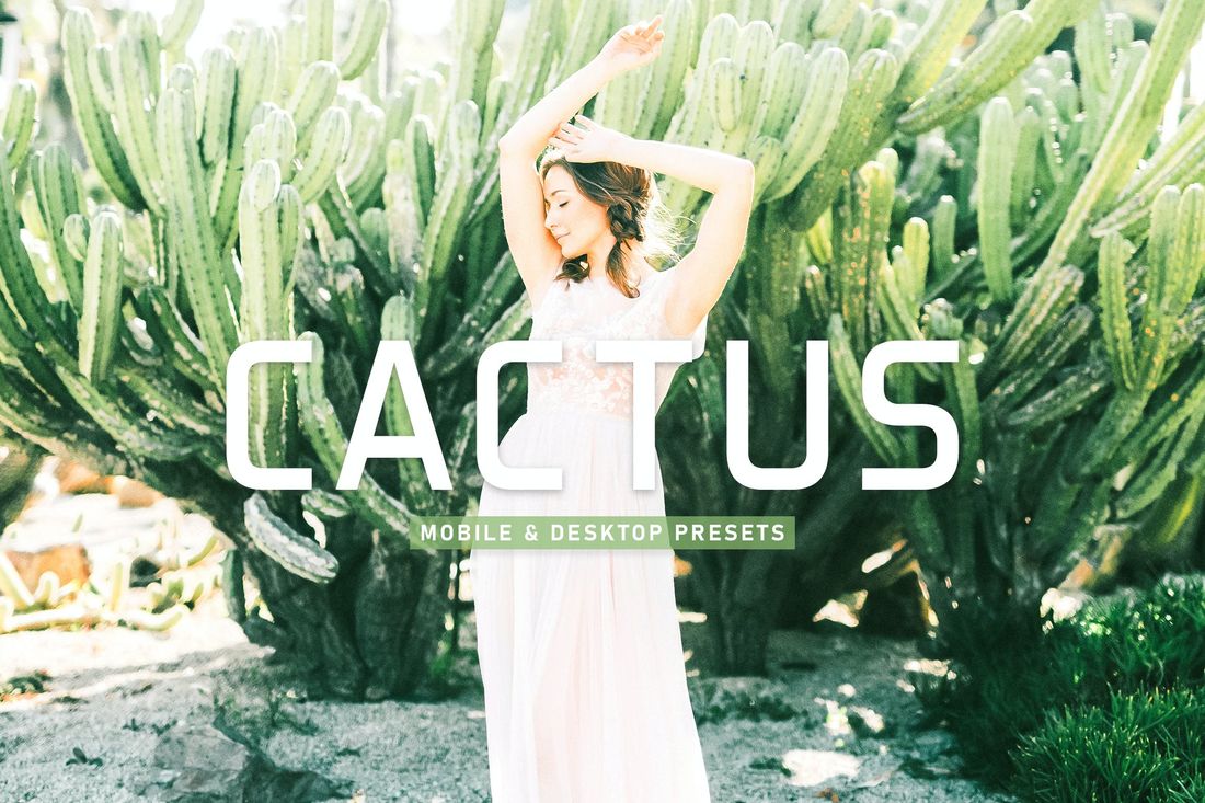 Cactus Mobile & Desktop Lightroom Presets