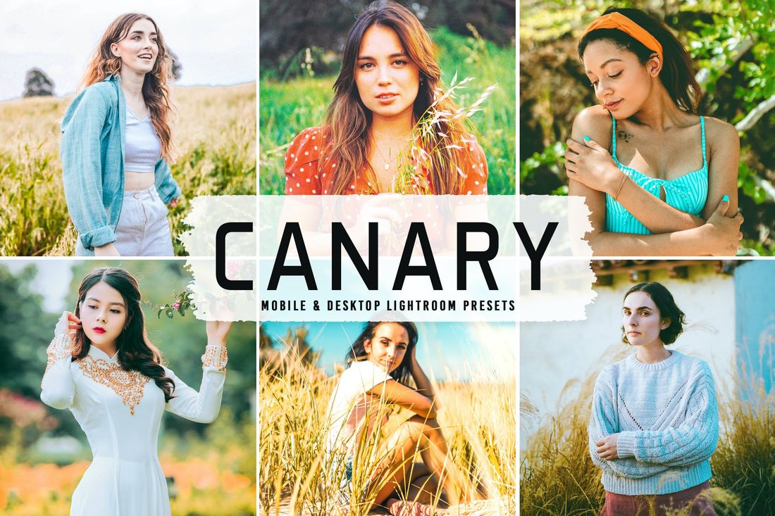 Canary Mobile & Desktop Lightroom Presets