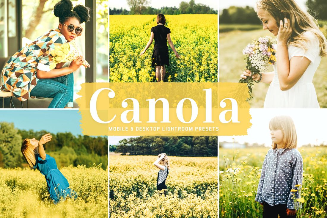 Canola Mobile & Desktop Lightroom Presets