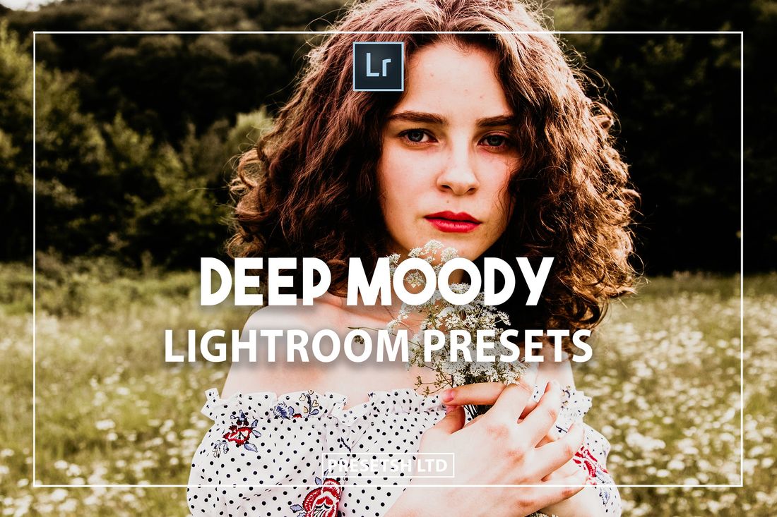 Deep Moody Presets
