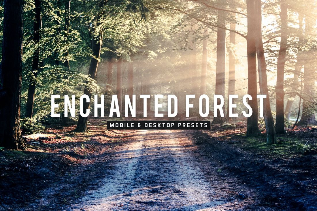 Enchanted Forest Mobile & Desktop Lightroom Preset