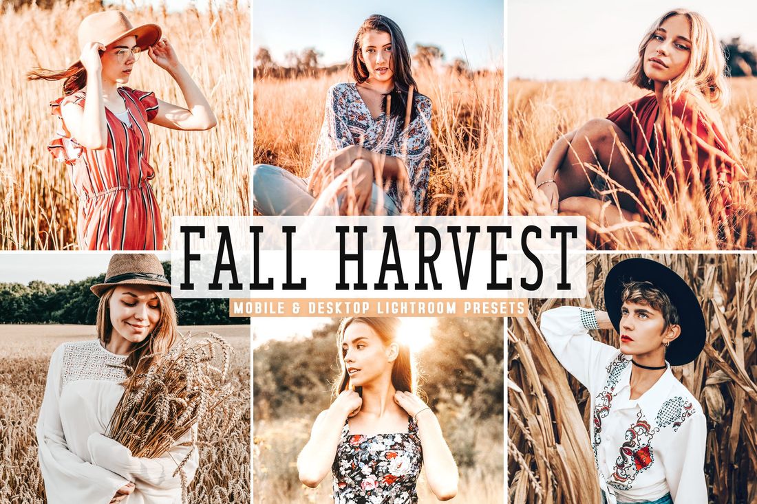 Fall Harvest Mobile & Desktop Lightroom Presets