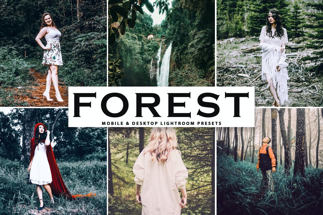 Forest Mobile & Desktop Lightroom Presets