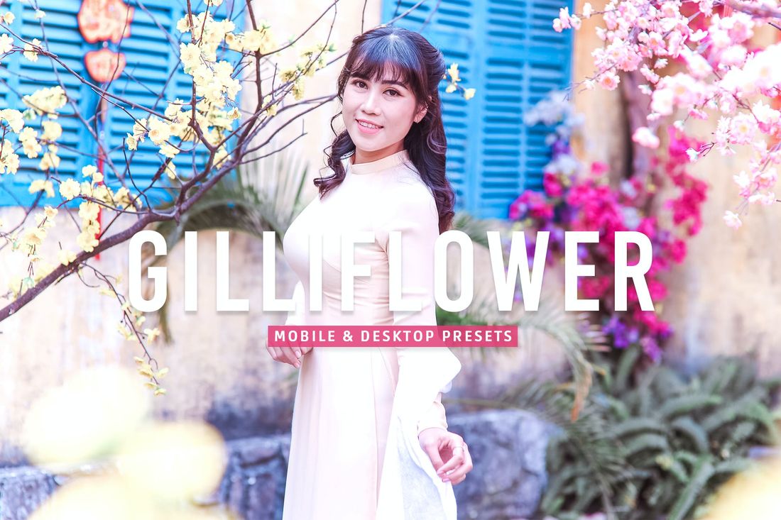 Gilliflower Mobile & Desktop Lightroom Presets
