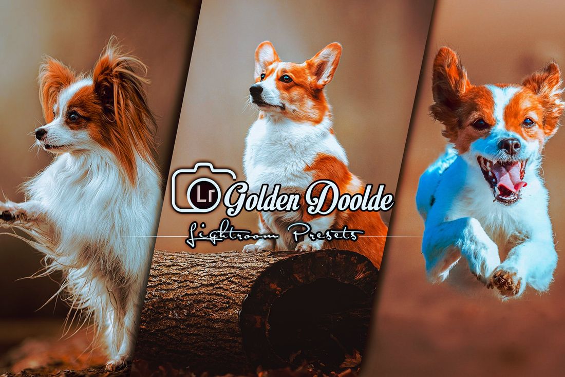 Golden Doolde Lightroom Presets Mobile and Desktop