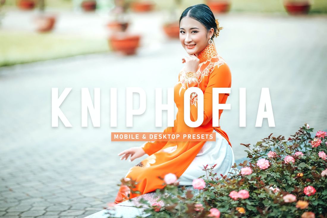Kniphofia Mobile & Desktop Lightroom Presets