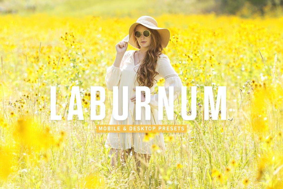 Laburnum Mobile & Desktop Lightroom Presets