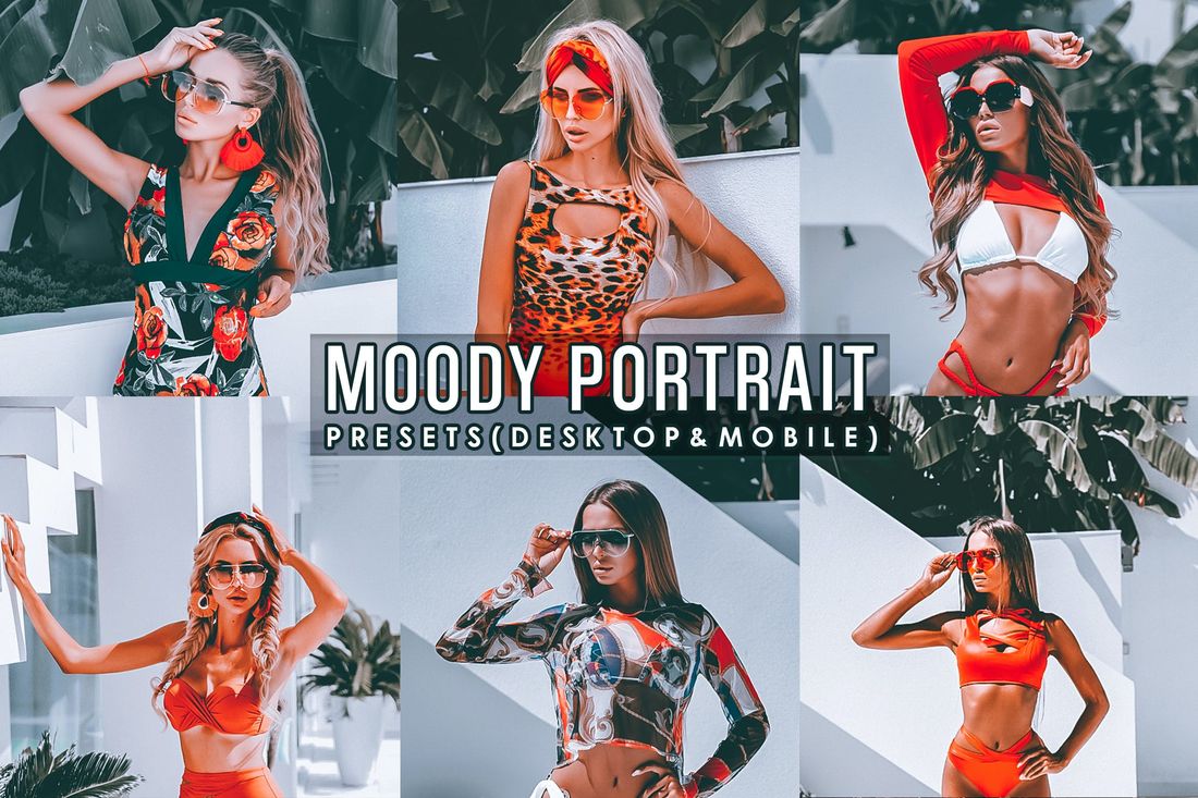 Moody Portrait Presets Desktoop and Mobile