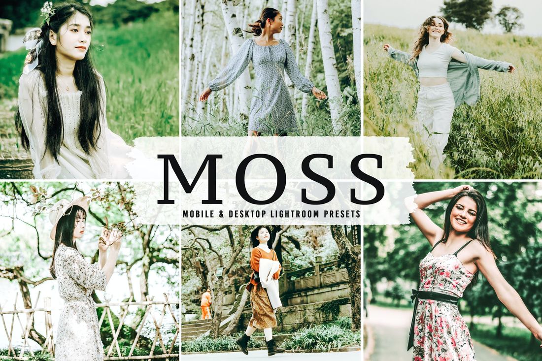 Moss Mobile & Desktop Lightroom Presets