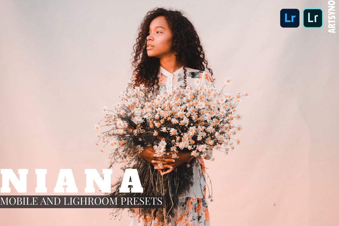 Niana Lightroom Presets Dekstop and Mobile