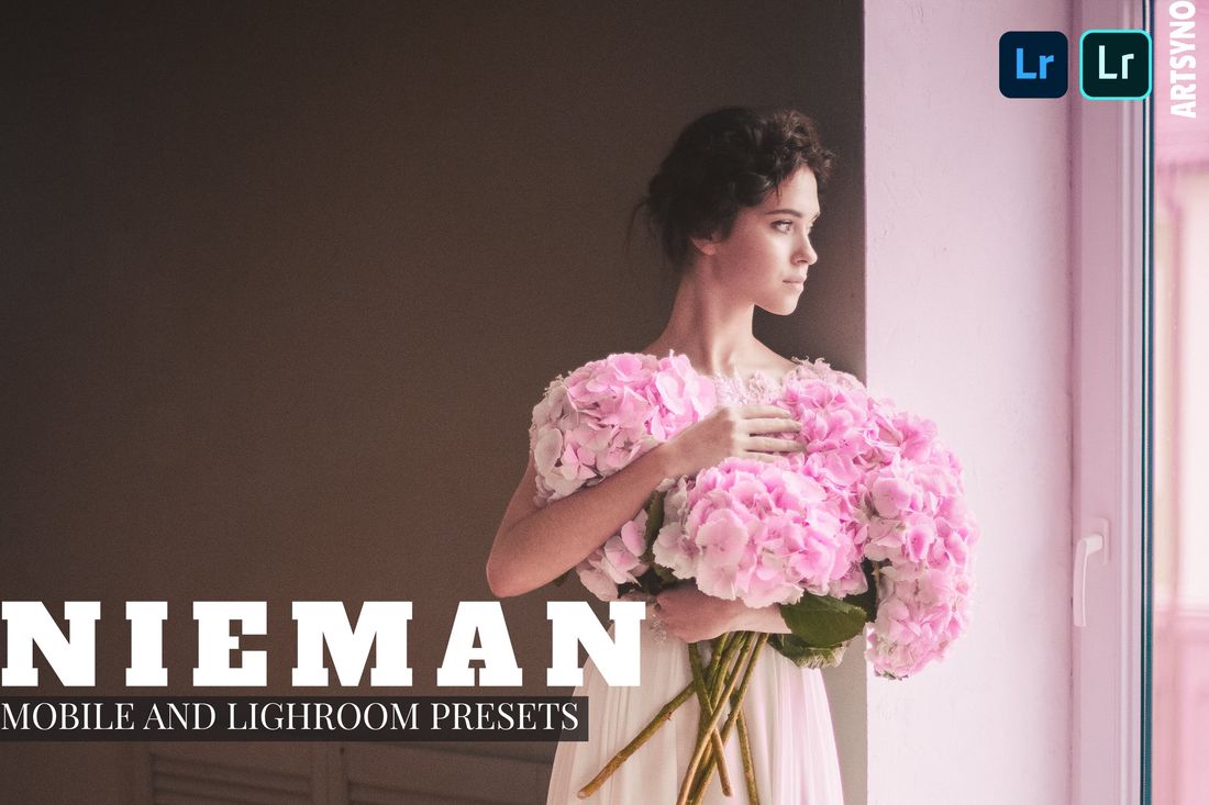 Nieman Lightroom Presets Dekstop and Mobile