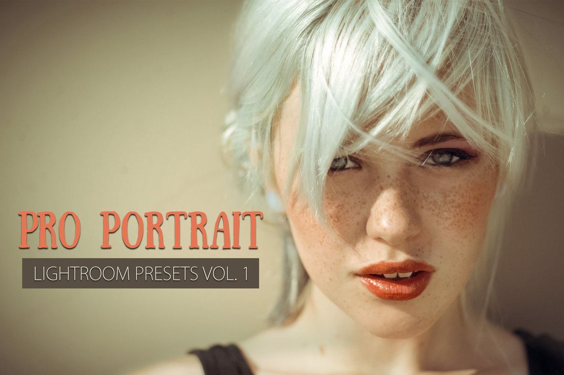 10款 Portrait Lightroom Presets Ver. 1