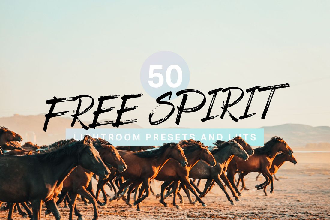 50款 Free Spirit Lightroom Presets