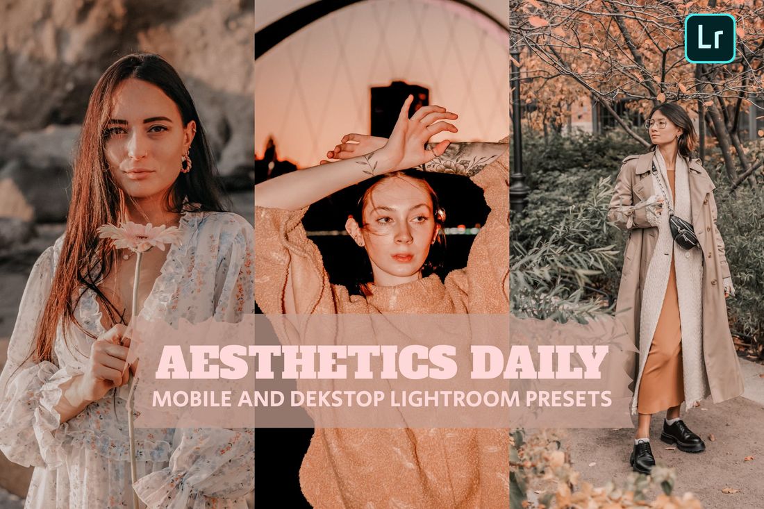 Aesthetics Daily Lightroom Presets Dekstop Mobile