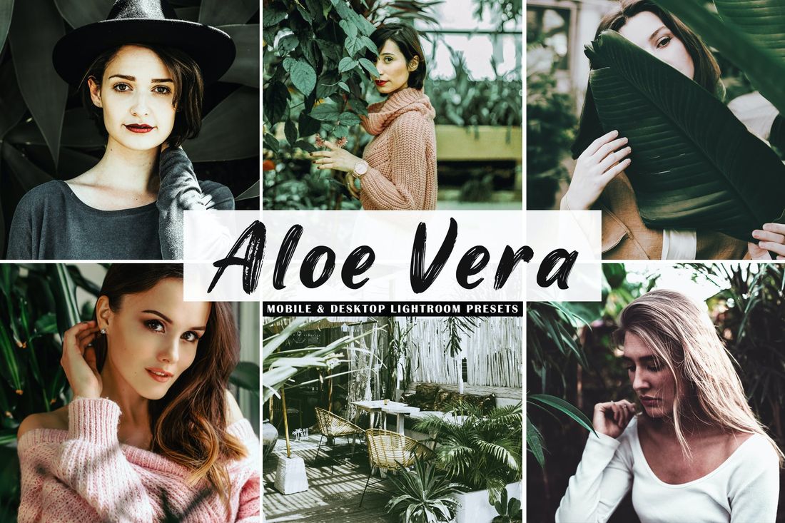 Aloe Vera Mobile & Desktop Lightroom Presets