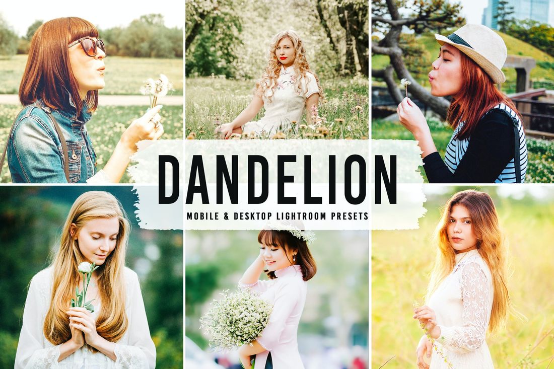Dandelion Mobile & Desktop Lightroom Presets